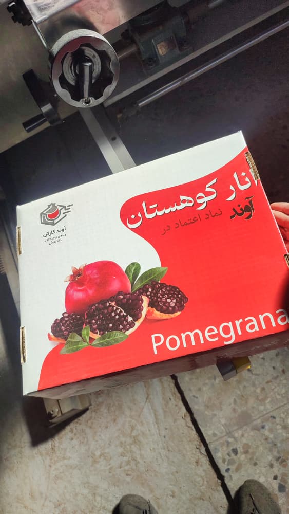 WhatsApp Image 2025-10-20 at 11.26.52 (1)