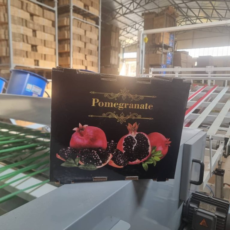 WhatsApp Image 2025-10-20 at 11.26.52 (2)