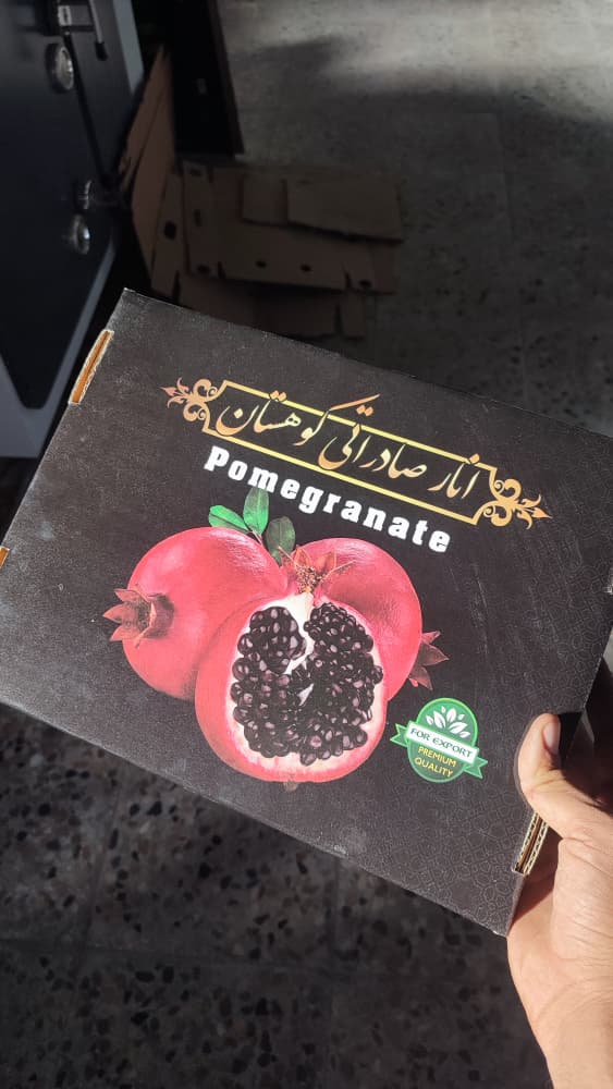 WhatsApp Image 2025-10-20 at 11.26.52