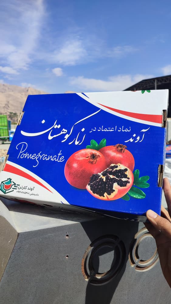 WhatsApp Image 2025-11-19 at 09.28.42 (2)