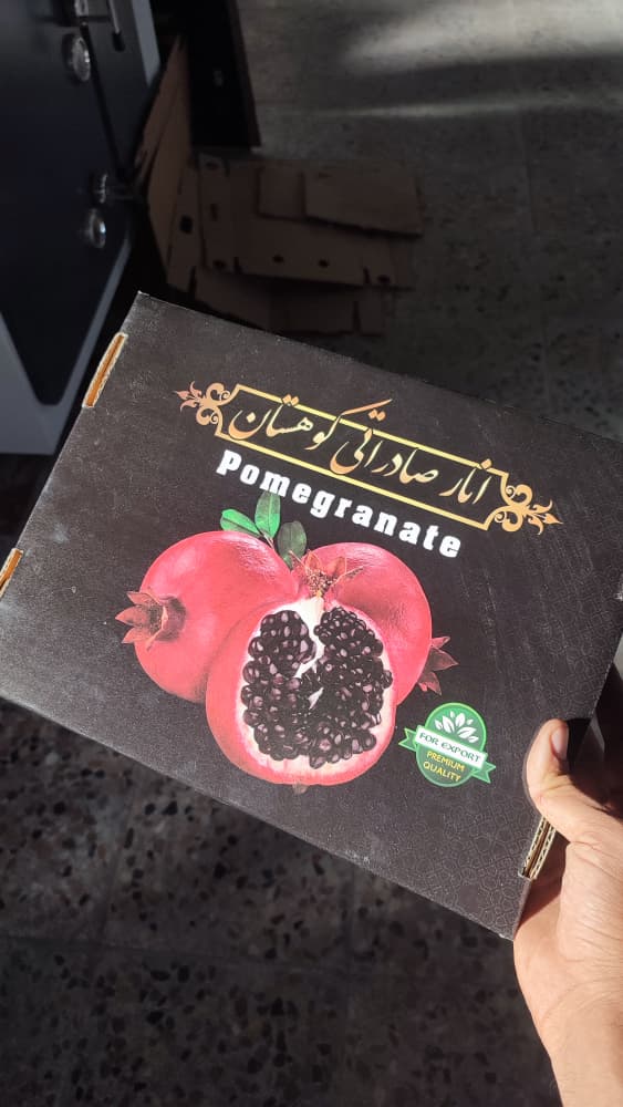 WhatsApp Image 2025-11-21 at 13.19.46