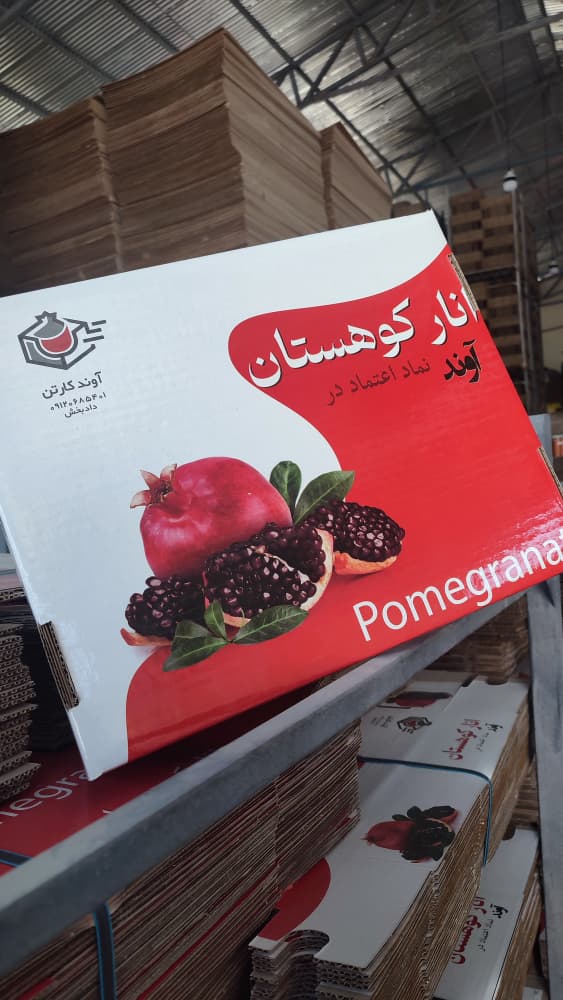 WhatsApp Image 2025-11-21 at 13.19.51