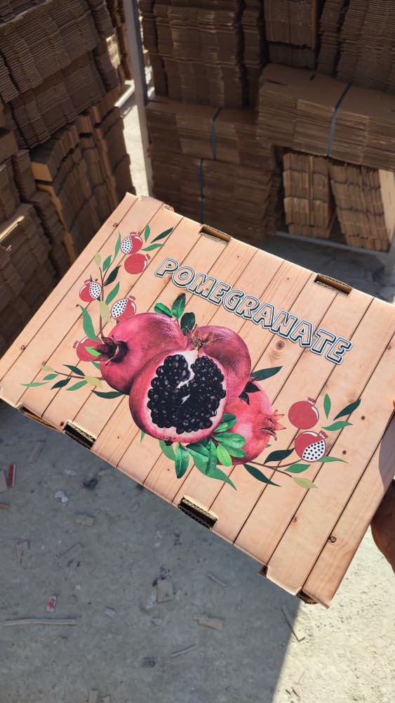 WhatsApp Image 2025-11-21 at 13.19.59