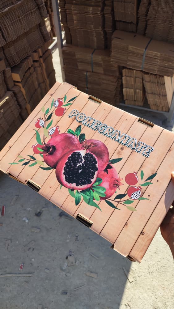 WhatsApp Image 2025-11-21 at 13.20.03